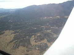 Sandias - Northeast woods.JPG